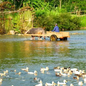 Explore Vietnam Family Adventure for 11 days with Footsteps Indochina Travel and discover unforgettable experiences - Photo 10
