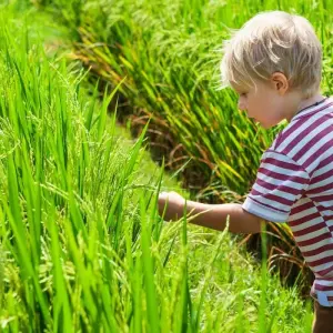 Explore Vietnam Family Adventure for 11 days with Footsteps Indochina Travel and discover unforgettable experiences - Photo 11