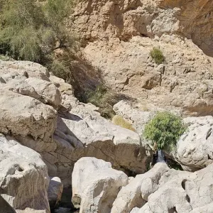 Explore Oman Highlights: From Peaks to Pools for 3 days with GidOman and discover unforgettable experiences - Photo 7