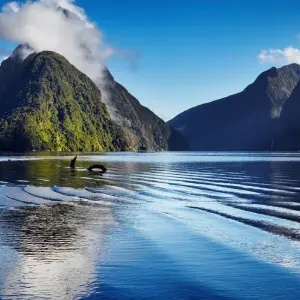 Explore Ultimate South Pacific with the Legendary Ghan Train for 28 days with Globus and discover unforgettable experiences - Photo 6