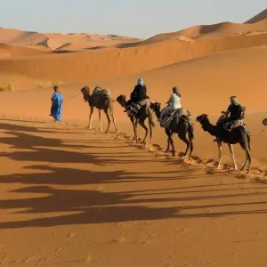 Explore Premium Morocco in Depth for 15 days with Intrepid Premium and discover unforgettable experiences - Photo 8