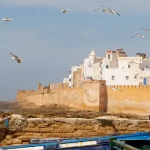 Explore Premium Morocco in Depth with Essaouira for 18 days with Intrepid Premium and discover unforgettable experiences - Photo 10