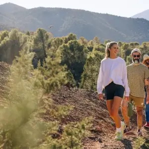 Explore Premium Morocco in Depth for 15 days with Intrepid Premium and discover unforgettable experiences - Photo 10