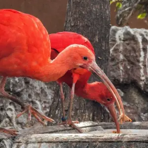 Explore 4 Days in Portugal. for 4 days with Remaz Tours GmbH and discover unforgettable experiences - Photo 3