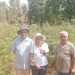 Explore 20 Nights Morocco Grand Tour for 21 days with Ricks Voyage and discover unforgettable experiences - Photo 11