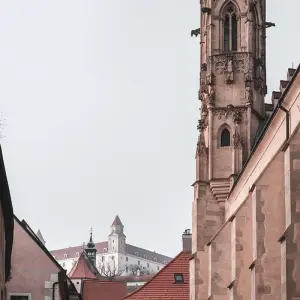 Explore 6 Days in Vienna: History, Music, and Day Trips Through Austria for 6 days with STM Tours LLC and discover unforgettable experiences - Photo 7