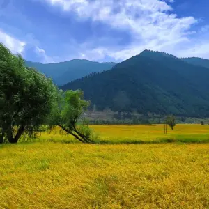 Explore Majestic Sonamarg: A Day Trip to the Meadow of Gold from Srinagar for 1 days with Agora Voyages OPC Pvt Ltd and discover unforgettable experiences - Photo 2