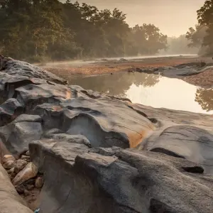 Explore Incredible Wildlife Safari in the Heart of Central India for 14 days with Agora Voyages OPC Pvt Ltd and discover unforgettable experiences - Photo 8