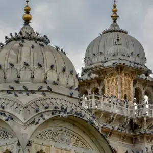 Explore Jaipur Gems: Discovering The Treasures Of The Pink City for 3 days with Agora Voyages OPC Pvt Ltd and discover unforgettable experiences - Photo 3