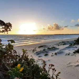 Explore 6 DAY GARDEN ROUTE TOUR for 6 days with Bokbus Garden Route Adventure Tours & Safaris and discover unforgettable experiences - Photo 9