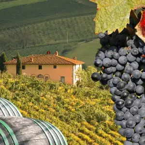 Explore The Best of Tuscany in 4 Days for 4 days with Click Tours and discover unforgettable experiences - Photo 10