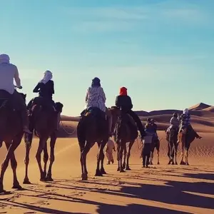 Explore Morocco 12-Day Trip for 12 days with Globe Drifters and discover unforgettable experiences - Photo 11