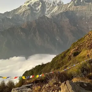 Explore Mardi Himal Trek from Pokhara - 5 Days for 5 days with Glorious Himalaya Trekking Pvt. Ltd. and discover unforgettable experiences - Photo 4