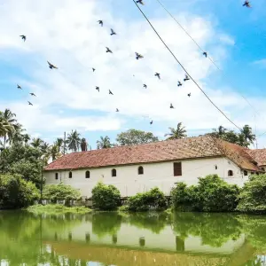 Explore Kerala Tour Package from Delhi with Flight and Half-board Meals for 7 days with Ramble Advisor and discover unforgettable experiences - Photo 4