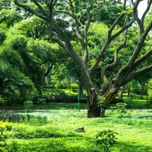 Explore Mysore Goa Tour for 9 days with Ramble Advisor and discover unforgettable experiences - Photo 5