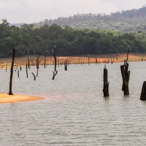 Explore Kerala Tour Package from Delhi with Flight and Half-board Meals for 7 days with Ramble Advisor and discover unforgettable experiences - Photo 5