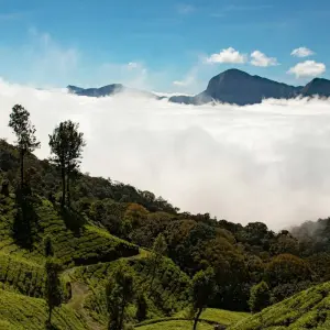 Explore Golden Triangle with Kerala Tour for 11 days with Ramble Advisor and discover unforgettable experiences - Photo 11