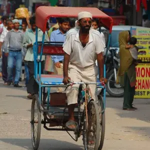 Explore Monkey Temple  Tour With Delhi & Agra &  Jaipur for 4 days with Real viaggi india  and discover unforgettable experiences - Photo 7