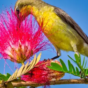 Explore 4-Day Bardia National Park Tour for 4 days with Alpine Luxury Treks Pvt Ltd and discover unforgettable experiences - Photo 2