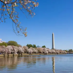 Explore American Gateway – 4 Days for 4 days with Amadeo and discover unforgettable experiences - Photo 2