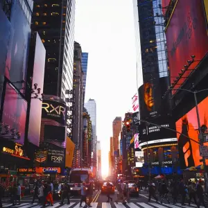 Explore American Gateway – 4 Days for 4 days with Amadeo and discover unforgettable experiences - Photo 6