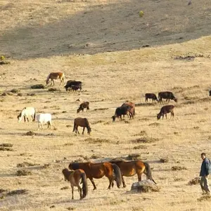 Explore Country Vacation - Bhutan Scenic Tour for 9 days with Bhutan Best Inbound Tour and discover unforgettable experiences - Photo 4