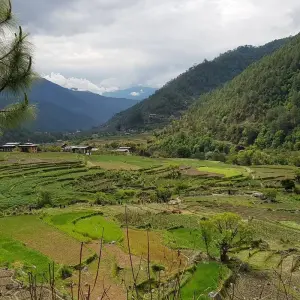Explore Country Vacation - Bhutan Scenic Tour for 9 days with Bhutan Best Inbound Tour and discover unforgettable experiences - Photo 6
