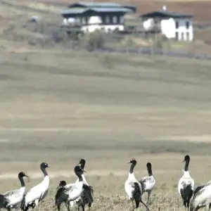 Explore Bhutan Family Vacation for 6 days with Bhutan Best Inbound Tour and discover unforgettable experiences - Photo 2