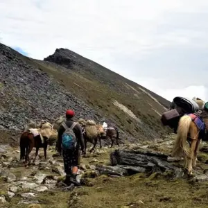 Explore Dagala Thousand Lake Trek for 8 days with Bhutan Best Inbound Tour and discover unforgettable experiences - Photo 9