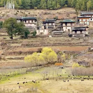 Explore Country Vacation - Bhutan Scenic Tour for 9 days with Bhutan Best Inbound Tour and discover unforgettable experiences - Photo 11
