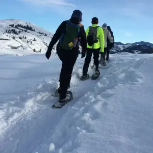Explore Methow Valley Cross-Country Ski Tour for 6 days with Bicycle Adventures and discover unforgettable experiences - Photo 3