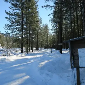 Explore Methow Valley Cross-Country Ski Tour for 6 days with Bicycle Adventures and discover unforgettable experiences - Photo 5