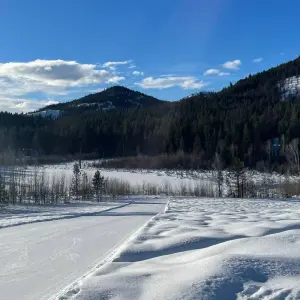 Explore Methow Valley Cross-Country Ski Tour for 6 days with Bicycle Adventures and discover unforgettable experiences - Photo 11