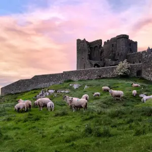 Explore Taste of Ireland (Tour C) - 5 Days/4 Nights (10 destinations) for 5 days with CIE Tours and discover unforgettable experiences - Photo 5