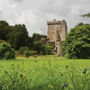 Explore Evergreen Ireland South - 7 Days/6 Nights (10 destinations) for 7 days with CIE Tours and discover unforgettable experiences - Photo 4