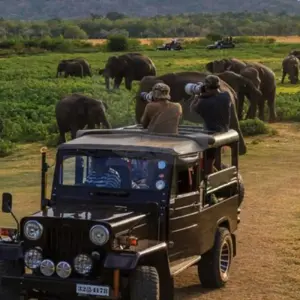 Explore 【Sri Lanka & Maldives】Luxury Escape: 5 Nights at The Residence Falhumaafushi + 9 Day Sri Lanka Discovery Package for 14 days with Delightful Travel and discover unforgettable experiences - Photo 3