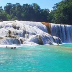 Explore Best of Chiapas & Yucatan with the Maya Train, Italian-speaking guide for 7 days with Destination Services Mexico and discover unforgettable experiences - Photo 11