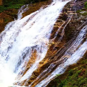 Explore Discover Malaysia: 12 Days in Kuala Lumpur, Cameron Highlands, Penang & Langkawi for 12 days with Discova and discover unforgettable experiences - Photo 3