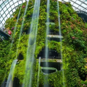 Explore 3 Days Singapore City Highlights to Merlion Park, Gardens by the Bay and Food Tour for 3 days with Discova and discover unforgettable experiences - Photo 6