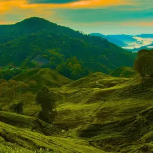 Explore Discover Malaysia: 12 Days in Kuala Lumpur, Cameron Highlands, Penang & Langkawi for 12 days with Discova and discover unforgettable experiences - Photo 8