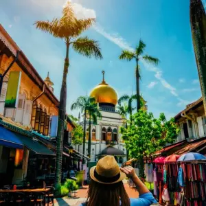 Explore 3 Days Singapore City Highlights to Merlion Park, Gardens by the Bay and Food Tour for 3 days with Discova and discover unforgettable experiences - Photo 10