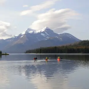 Explore Highlights of Alberta & Rockies Tour for 7 days with Discover Canada Tours and discover unforgettable experiences - Photo 11