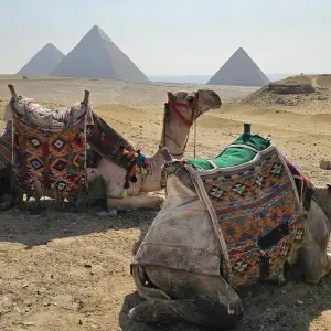 Explore Treasures of Egypt in 10 Days: Pyramids, GEM, Nile Cruise & The Red Sea for 10 days with Golden Egypt and discover unforgettable experiences - Photo 3