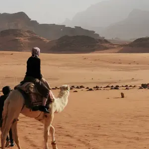 Explore 14-Day Cultural Tour: Turkey, Egypt & Jordan – Includes International Flights for 14 days with Golden Egypt and discover unforgettable experiences - Photo 6