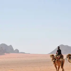 Explore 14-Day Cultural Tour: Turkey, Egypt & Jordan – Includes International Flights for 14 days with Golden Egypt and discover unforgettable experiences - Photo 8