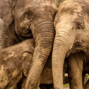 Explore Timeless Wonders of Thailand and Cambodia in 12 Days for 12 days with Realistic Asia and discover unforgettable experiences - Photo 8