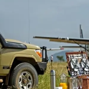 Explore The Most Complete Guide For 1 Day Fly-In Tanzania Safari from Zanzibar: The Best Safari Day Trip in Tanzania You Must Do for 1 days with Africa Natural Tours and discover unforgettable experiences - Photo 2