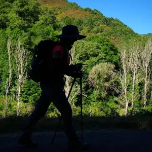 Explore Camino de Santiago · Way of St. James · French Way · From León to Santiago de Compostela for 15 days with CAMINO DE SANTIAGO RESERVAS and discover unforgettable experiences - Photo 2