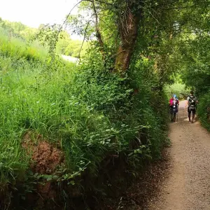 Explore Camino de Santiago · Way of St. James · French Way · From León to Santiago de Compostela for 15 days with CAMINO DE SANTIAGO RESERVAS and discover unforgettable experiences - Photo 5