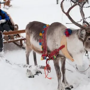 Explore Romantic Aurora package for 5 days with Inventia and discover unforgettable experiences - Photo 5